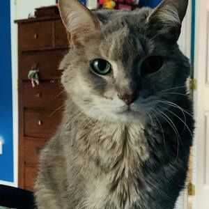 Meet your Posher, Jon